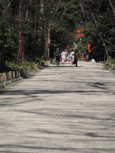 糺の森の下鴨神社へ