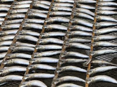 房総半島縦断の徒歩旅行~坂東三十三観音霊場結願へ(2/5)