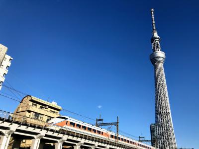 <東京スカイツリー 撮影記> 快晴の青空の下、源森橋と隅田公園を散策してきた・・・