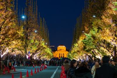 神宮外苑イチョウ並木 ライトアップ 2019