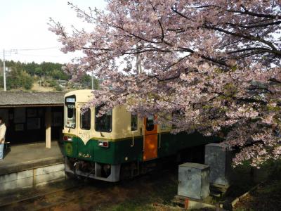 ２０２０年３月 茨城(土浦・水戸・ひたちなか)