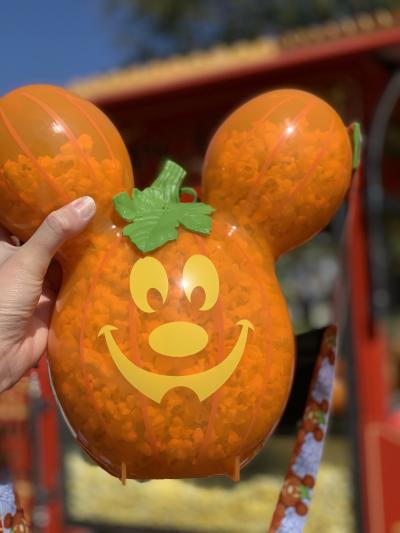 3年ぶり4度目のLA！～ハロウィン中のDisneylandへ～③