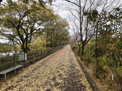2019年秋　秋の扶桑緑地公園を歩く