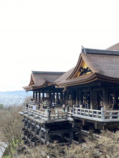 ガラガラの清水寺へ