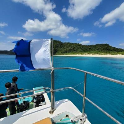 2020年3月 のんびり癒しの慶良間諸島ダイビング