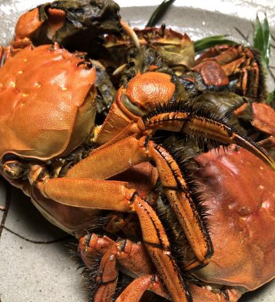 師走の九州~美食の旅(2/4)