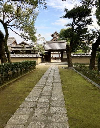 師走の九州~美食の旅(4/4)