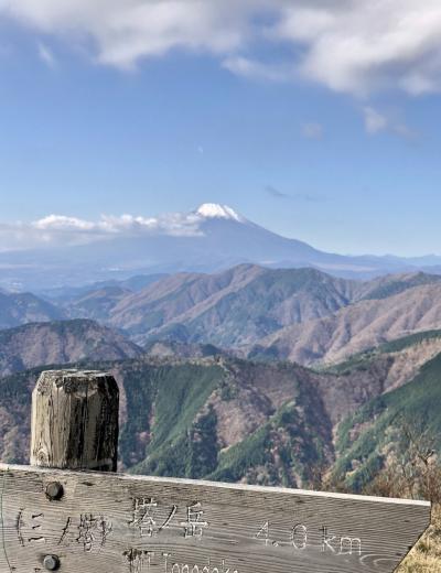 丹沢の三ノ塔登山～令和元年最後の山行