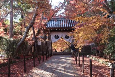 2019子連れ紅葉京都府長岡京　光明寺