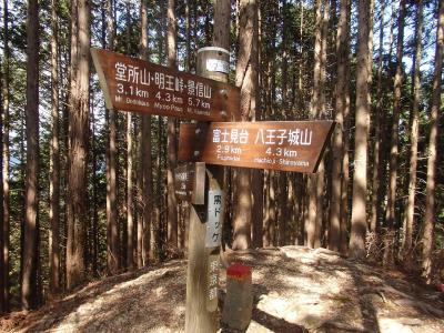 黒ドッケ登山と木下沢・高尾梅林の観梅