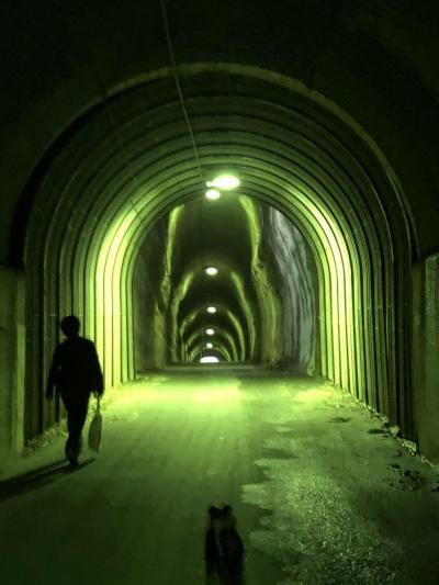 養老渓谷~愛犬連れの旅