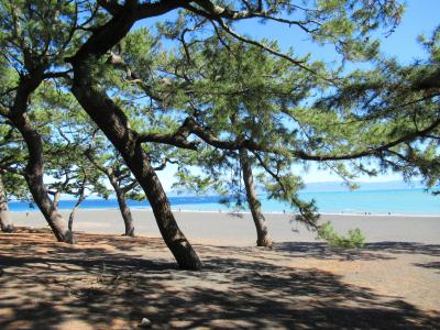 南国のような海の色。背景には富士山。でもお土産屋さんは叩き売り状態