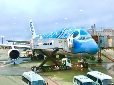 ハワイ挙式＆新婚旅行①