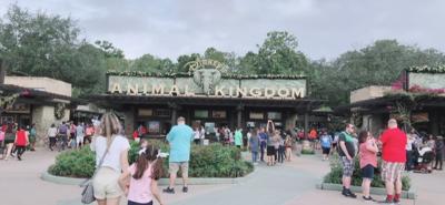 ディズニーランド周辺に関する旅行記 ブログ フォートラベル アメリカ Disneyland Resort ディズニーランド周辺に関する旅行記 ブログ フォートラベル アメリカ Disneyland Resort