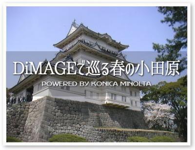 DiMAGEで巡る春の小田原
