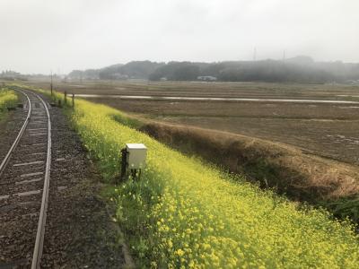 千葉　グランピング&amp;いすみふらり旅　1泊2日家族旅 Day2