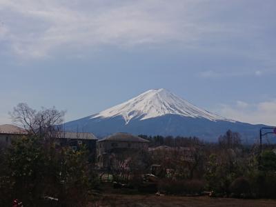 コロナに負けるな！山梨県美味しい味とお土産の日帰り旅20200313Part2