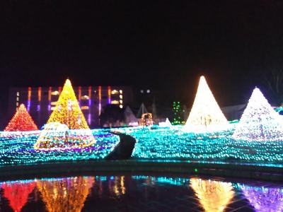 2020 つま恋イルミネーションと富士サファリパーク家族旅行