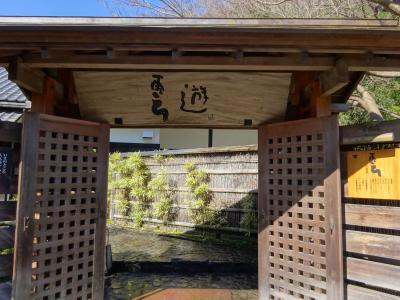 ひこの日帰り弾丸トラベラー ! (箱根の温泉満喫と小田原でおいしいお魚を食べた編 plus箱根の温泉に再度行ったプチ旅)