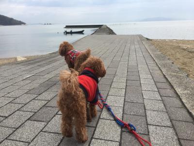 岡山☆愛犬とぶらり旅