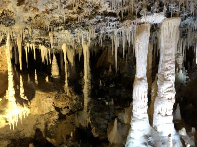 さとうきびバブルきたる!南大東島1泊2日の旅