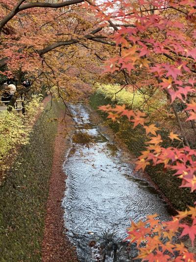 2019.12京都北野天満宮紅葉狩り