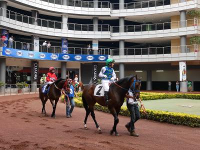 【メキシコ発】コロナ感染者がついに。こうなったら競馬で勝負　Byウォータースポーツカンクン店長吉田