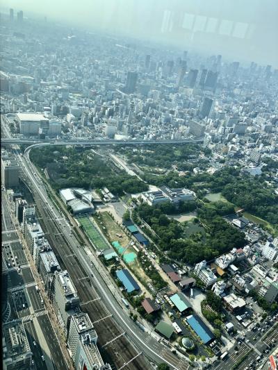 ☆月イチお出かけ:2019年8月☆今更ですが初ハルカスでした