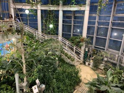 渋谷ふれあい植物センター