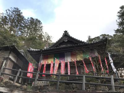 家族旅行 日帰り2020年2月（長男11歳、次男9歳）上湯温泉、湯の峰温泉、わたらせ温泉③