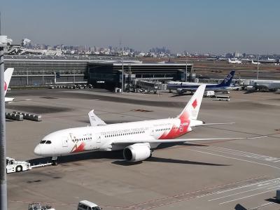 聖火特別輸送機　TOKYO 2020号＠羽田空港