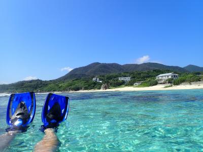 2019 離島一人旅 徳之島(2回目)