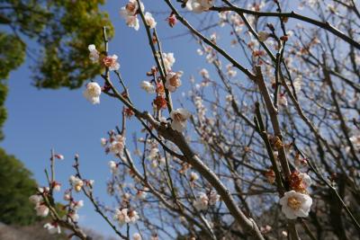 福岡県 神社巡りと食べ歩きの3日間