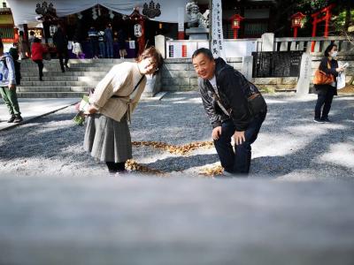 2020 春 ドライブ箱根神社～来宮神社　