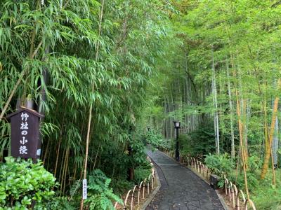 修善寺温泉_Syuzenji Onsen　源氏ゆかりの温泉！千二百年の歴史を持つ伊豆の小京都