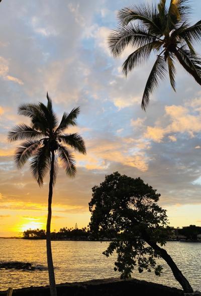 ハワイ島 シュノーケリング に関する旅行記 ブログ フォートラベル ハワイ Hawaii Island