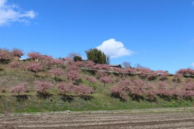 群馬の山里に、春が来た