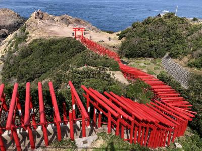 春休み家族旅行：山口一泊（角島、元乃隅神社、萩、秋芳洞）