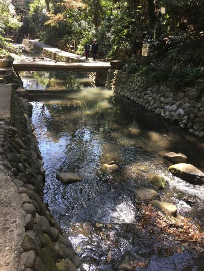 都心のせせらぎ 等々力渓谷とグルメ散歩