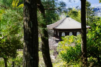 2020京都 哲学の道あるく旅（銀閣寺＆春の特別公開の霊鑑寺）