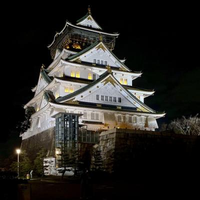 《2020.March》あみんちゅなにげに関西街歩きの旅大阪そのⅠ～大阪城編～