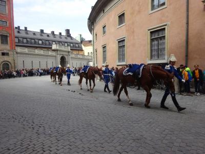 混乱の10連休、北欧の美しい自然と街巡りの旅：スウェーデン、ノルウェー旅行【６】（2019年GW ３日目③ 馬引く衛兵交代式）