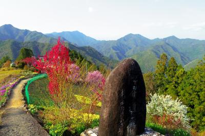 紀伊半島の山奥にて