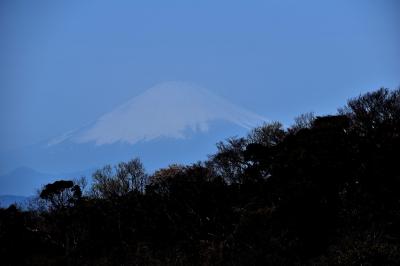 北鎌倉から鎌倉をぶらぶら