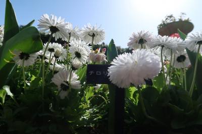 須磨離宮公園と須磨寺