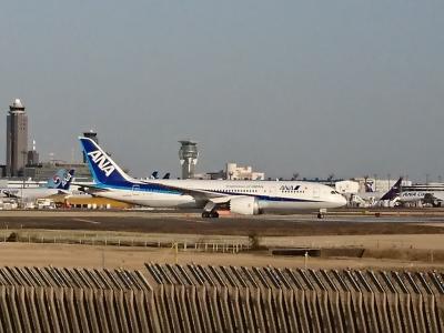 さくらの山公園へ飛行機をみにいってみた～