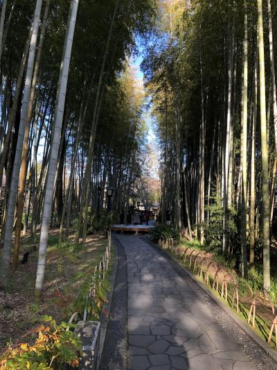 2020　独鈷の湯、修禅寺、日枝神社、竹林の小径　観光