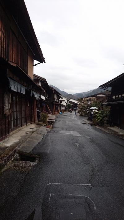 早春の木曽路へハイキング、京都もね。