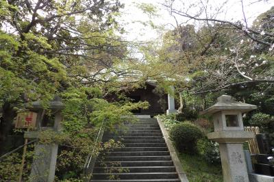 鎌倉長勝寺－2020年春