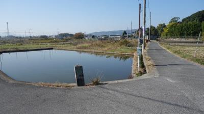 お墓参りにかこつけて　コロナ騒動下の天理「淡水  鰻重」も食す